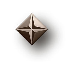 Pro Icon