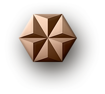VIP Icon